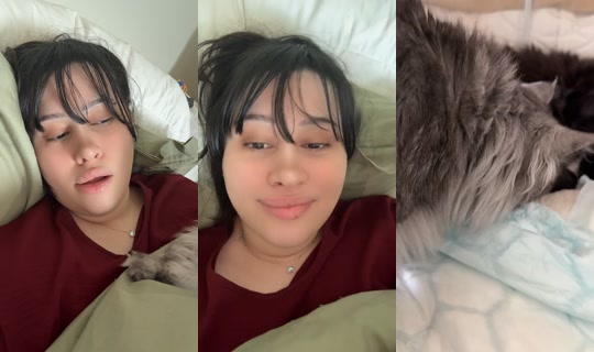 queen._o0o_'s Stream - Jun 7, 2026, 10:14 AM