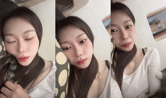 tnal.sl's Stream - Jun 12, 2026, 3:17 PM