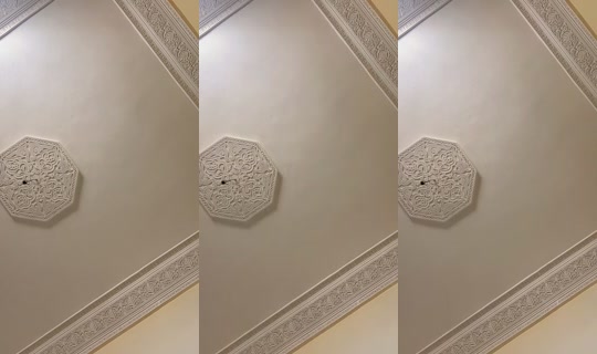tonarozoulhcine's Stream - Jun 10, 2026, 12:01 PM