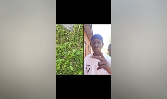 Stream umaad__ - 8 Jun 2026, 12.19