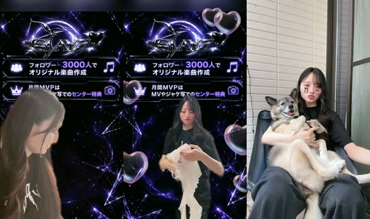 __my.chic2z0's Stream - Jul 8, 2026, 6:03 AM
