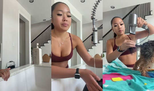 notjasminevu's Stream - Jul 7, 2026, 7:04 PM
