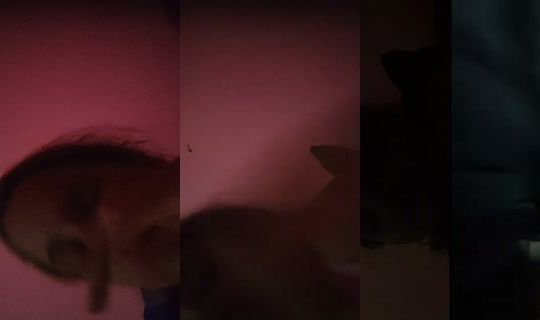 pxx_lilice12's Stream - Jul 7, 2026, 11:45 PM