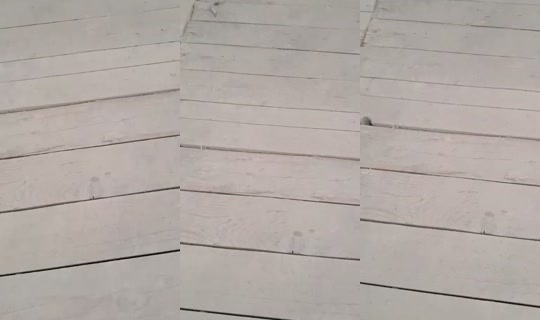 saralovekevin's Stream - Jul 10, 2026, 4:29 PM