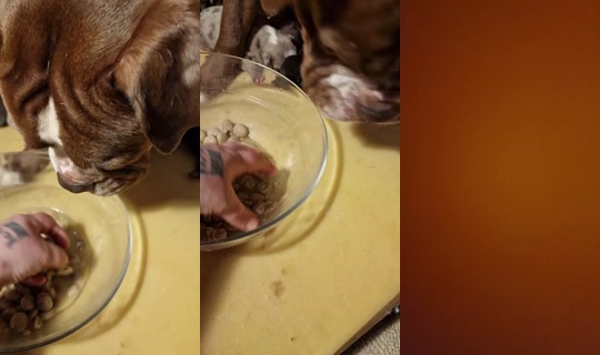 .sandgaard's Stream - Apr 3, 2026, 8:01 PM