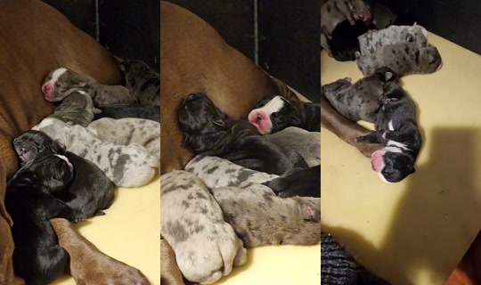 .sandgaard's Stream - Apr 3, 2026, 8:26 PM