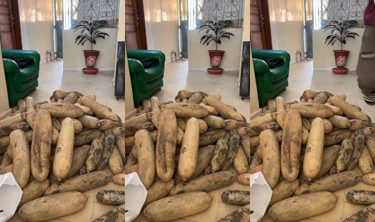 dambal_tv's Stream - Apr 13, 2026, 3:27 PM