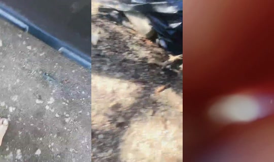 laprofe504's Stream - Apr 7, 2026, 1:18 PM