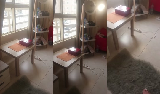 liliquatar11's Stream - Apr 13, 2026, 11:37 AM