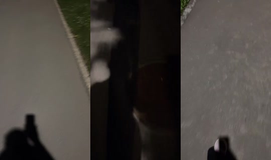 stella.lela3's Stream - Apr 7, 2026, 6:57 PM