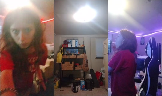bobina_the_chimp's Stream - Jul 7, 2026, 12:51 AM