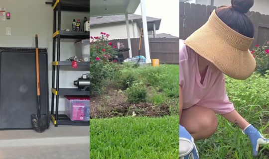 alinity's Stream - Jun 21, 2026, 3:02 PM