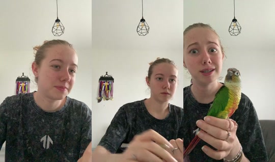 bomboclatt111's Stream - May 16, 2026, 4:49 PM
