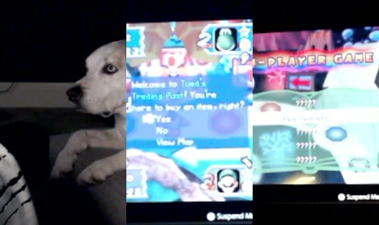 Stream de chick_chat – 9 mai 2026, 8:50