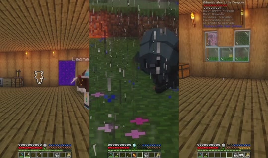 daphy_pinguim's Stream - May 13, 2026, 2:18 AM