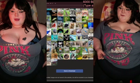 ella_eats's Stream - Jul 3, 2026, 12:43 AM