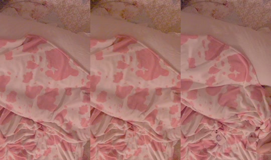 evalynnfeiyah's Stream - May 8, 2026, 12:58 PM