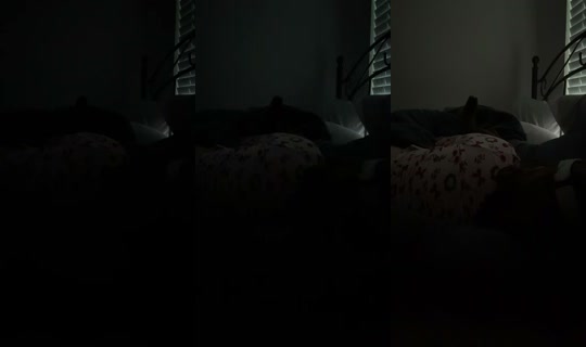 funnyluxe's Stream - May 26, 2026, 10:01 AM