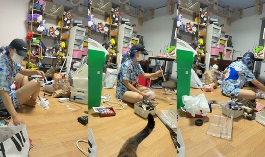 kkyumingming's Stream - Jun 29, 2026, 8:06 PM