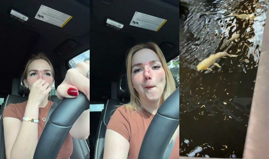 rocastodas's Stream - Apr 17, 2026, 1:50 PM