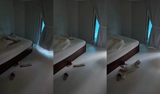 seoi1016's Stream - Jun 20, 2026, 11:28 PM