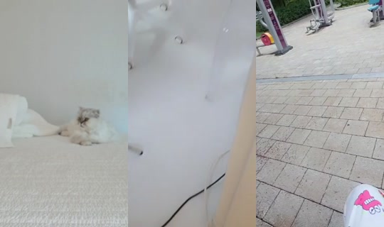 seoi1016's Stream - Jun 21, 2026, 2:01 AM