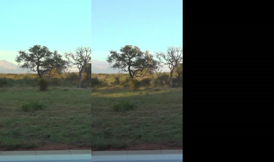 therealknossi's Stream - May 22, 2026, 4:47 AM
