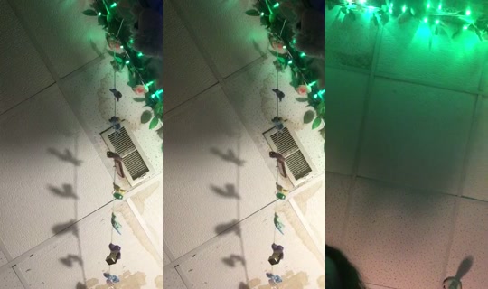 ThePeachPit's Stream - Jun 27, 2026, 8:34 AM