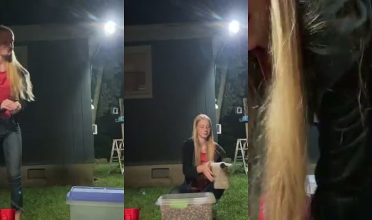 dagreatkate's Stream - Jun 24, 2026, 1:58 AM