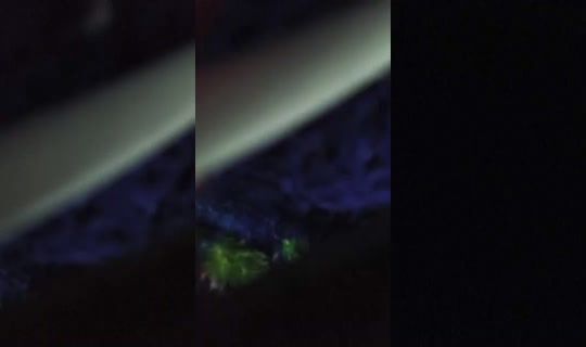 Stream de ЗояБадакова-в5ф – 20 juin 2026, 2:06