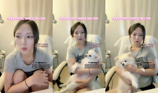 땡글이마을's Stream - Jul 1, 2026, 8:51 PM