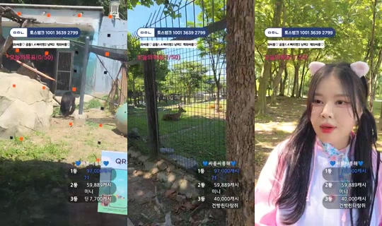 아기하마_소라's Stream - Jun 23, 2026, 5:03 AM
