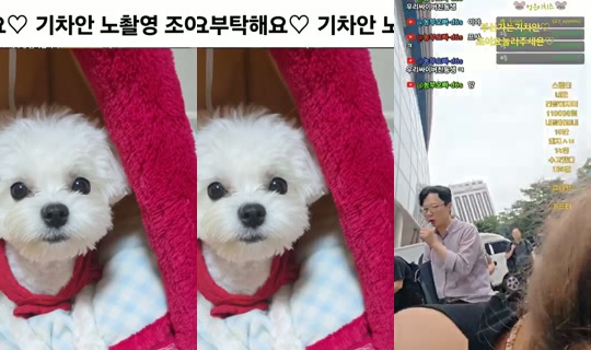 허당성은's Stream - Jul 3, 2026, 5:36 AM