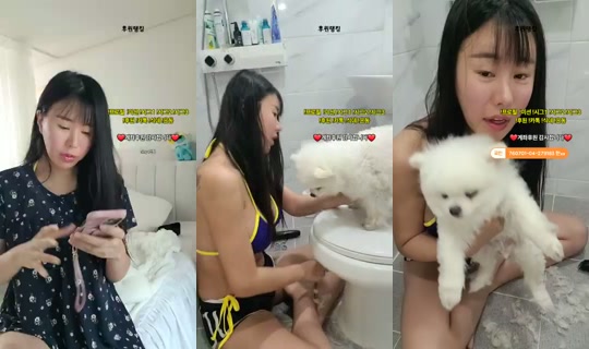Go나연's Stream - Jul 3, 2026, 8:55 AM