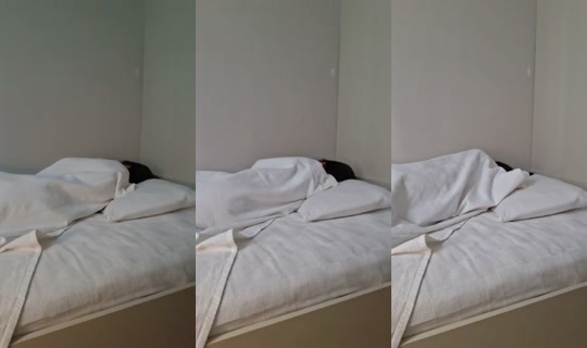 itsmebem6977's Stream - Jun 4, 2026, 2:50 AM