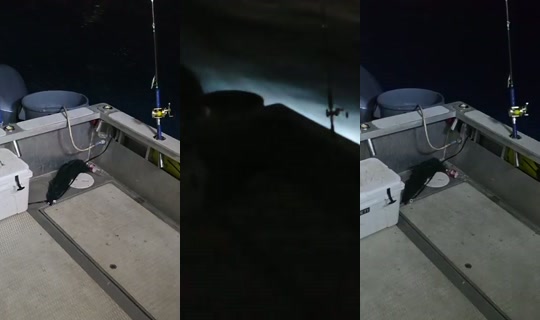 oceanadventures1's Stream - Jul 7, 2026, 4:10 AM