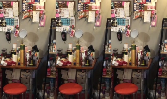 shw_crystal_diary's Stream - Jun 10, 2026, 4:57 PM