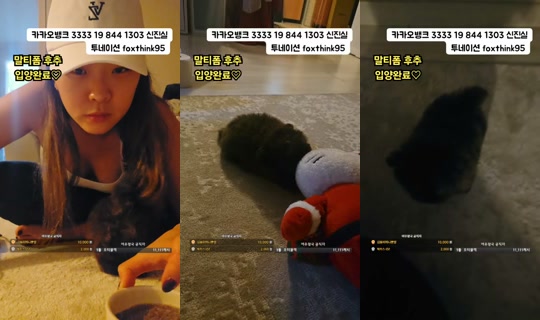 여우생각-c4q's Stream - Jun 1, 2026, 12:14 PM